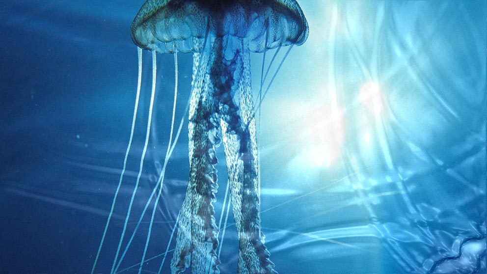 Watery Desktop 3D Moving Background