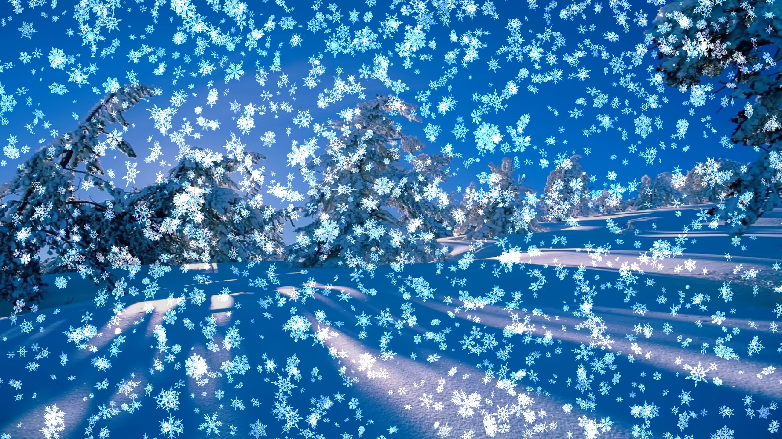 Free Live Wallpaper Download
