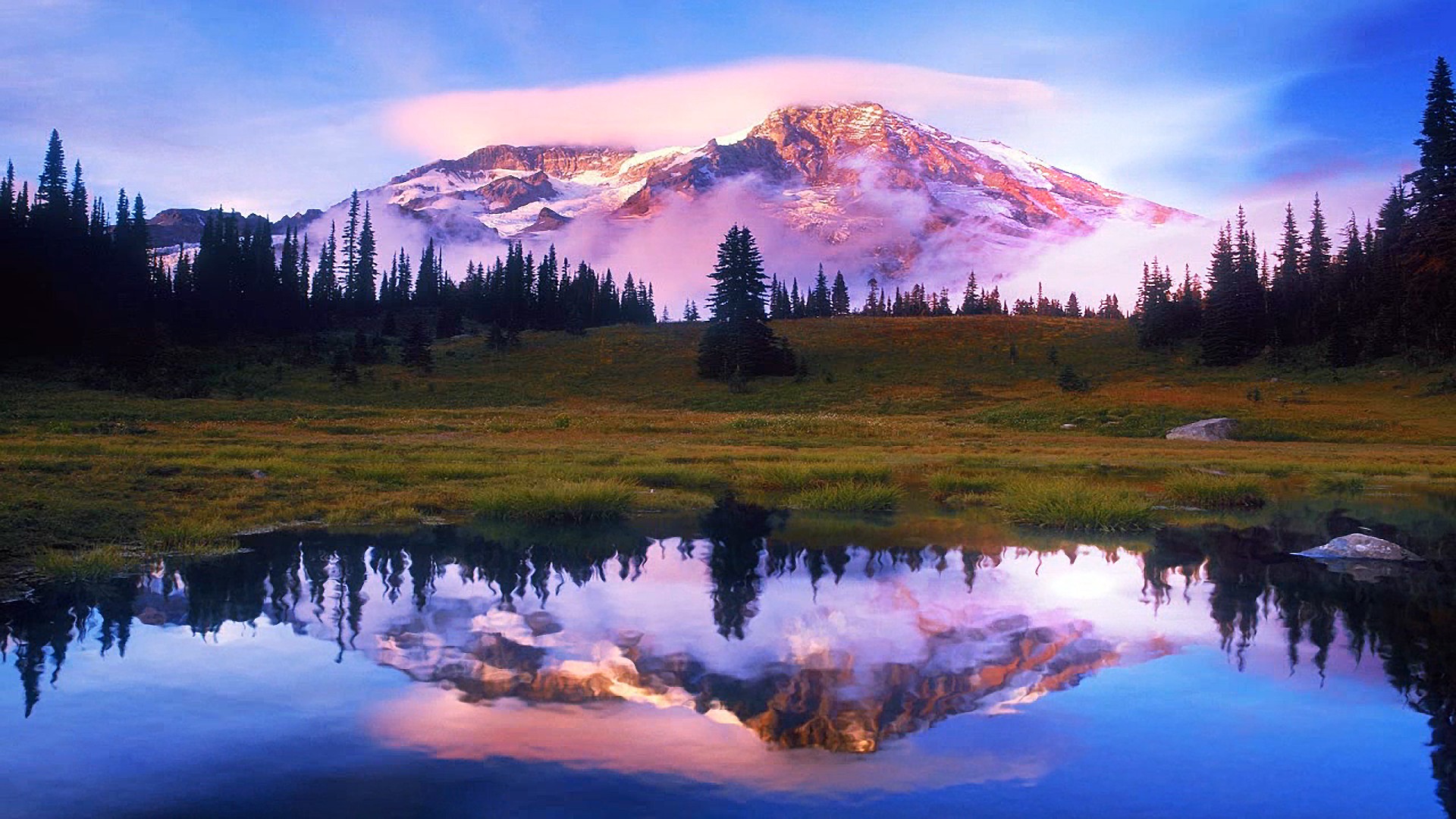 PUSH Entertainment Video Wallpapers Live Wallpapers And Screen Savers