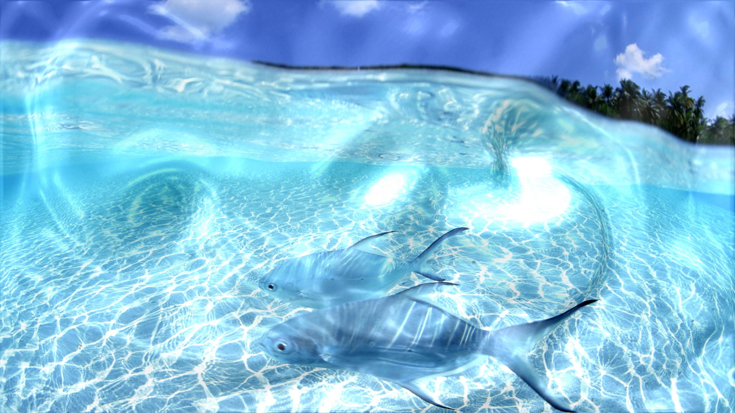 Watery Desktop 3D
